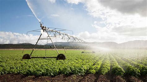 what irrigations systems are used in china argciulture